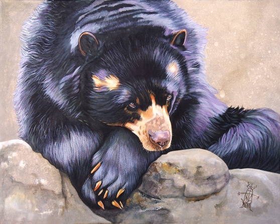 Andean Bear /Spectacled Bear/Andean Short-Faced Bear