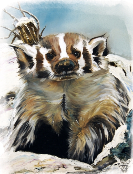 Badger - Guardian of the South
