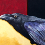 Raven of the rainbow wing