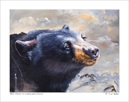 BearFaces in windswept places © J W Baker